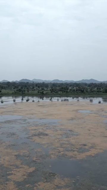 Vertical Aerial View of Lush Green Hills Forests and Water Bodies in Pratapgarh Rajasthan India
