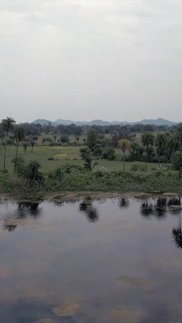 Vertical Aerial View of Lush Green Hills Forests and Water Bodies in Pratapgarh Rajasthan India