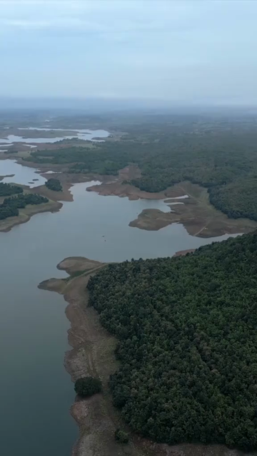 Vertical Aerial View of Lush Green Hills Forests and Water Bodies in Pratapgarh Rajasthan India
