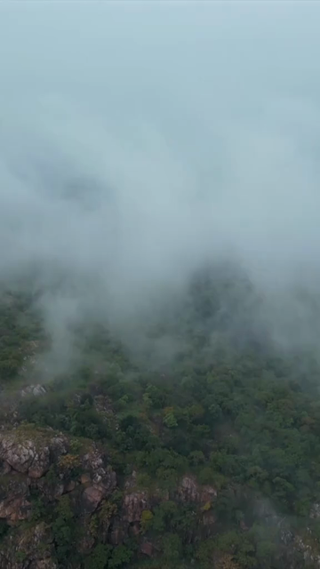 Vertical Aerial View of Lush Green Hills Forests and Water Bodies in Pratapgarh Rajasthan India