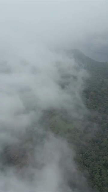Vertical Aerial View of Lush Green Hills Forests and Water Bodies in Pratapgarh Rajasthan India