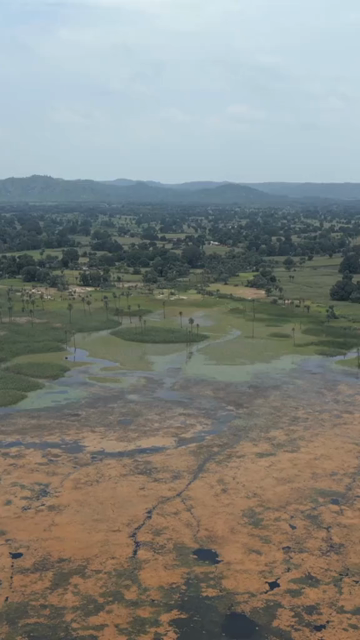 Vertical Aerial View of Lush Green Hills Forests and Water Bodies in Pratapgarh Rajasthan India