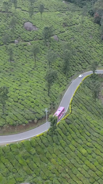 Vertical aerial view of winding roads through lush tea plantations in Munnar Kerala India