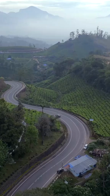 Vertical aerial view of winding roads through lush tea plantations in Munnar Kerala India