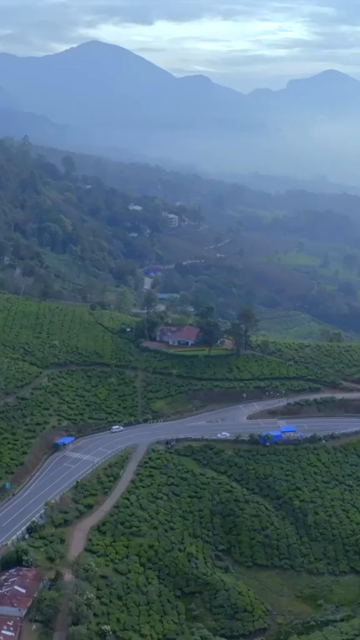 Vertical aerial view of winding roads through lush tea plantations in Munnar Kerala India