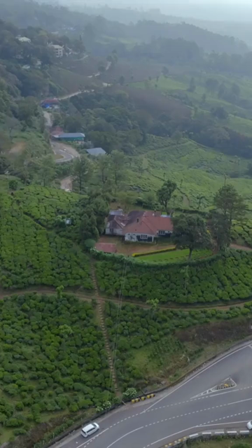 Vertical aerial view of winding roads through lush tea plantations in Munnar Kerala India