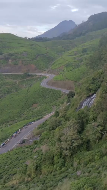 Vertical aerial view of winding roads through lush tea plantations in Munnar Kerala India