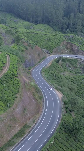 Vertical aerial view of winding roads through lush tea plantations in Munnar Kerala India