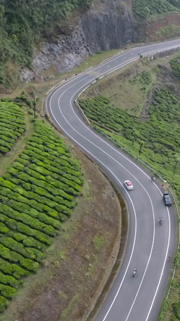Vertical aerial view of winding roads through lush tea plantations in Munnar Kerala India