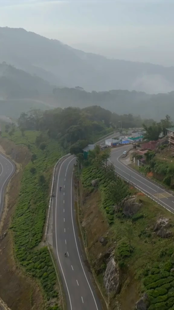 Vertical aerial view of winding roads through lush tea plantations in Munnar Kerala India