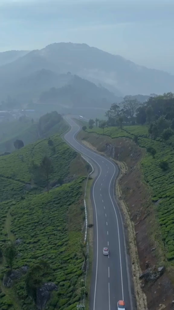 Vertical aerial view of winding roads through lush tea plantations in Munnar Kerala India