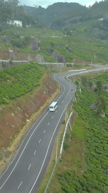Vertical aerial view of winding roads through lush tea plantations in Munnar Kerala India