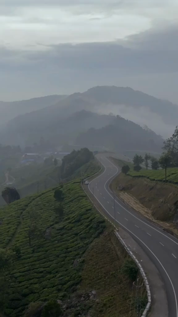 Vertical aerial view of winding roads through lush tea plantations in Munnar Kerala India
