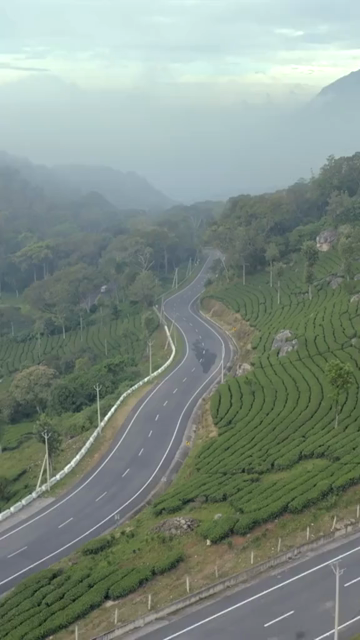 Vertical aerial view of winding roads through lush tea plantations in Munnar Kerala India