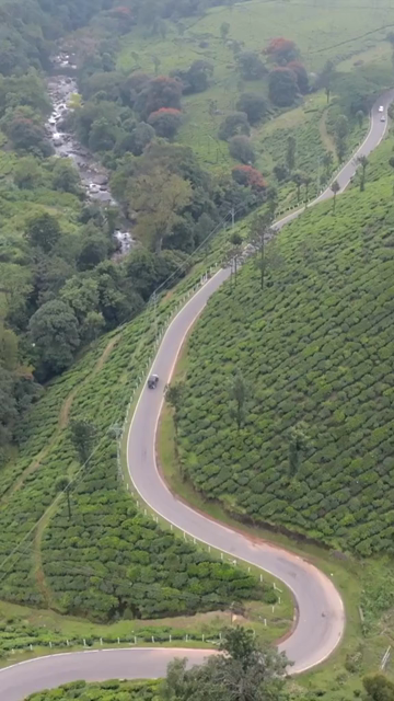 Vertical aerial view of winding roads through lush tea plantations in Munnar Kerala India